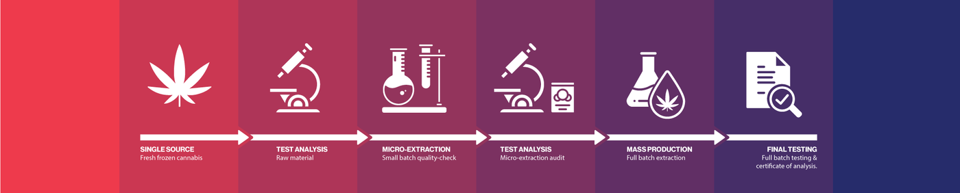 infographic timeline that shows progression of production from single source fresh frozen cannabis to first test, micro-extraction quality check, and 2nd test analysis to mass production and full batch extraction to final batch certificate of analysis